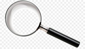 Physical asset auditing and Physical Asset verification as per Caro Act