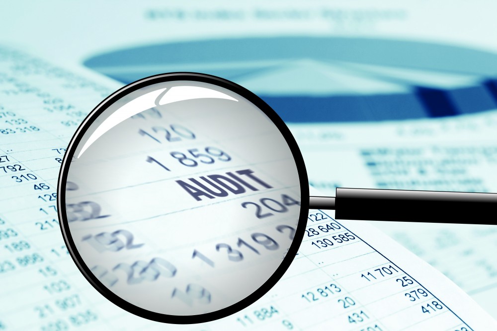 Fixed Asset Auditing Procedures: Fixed asset Audit