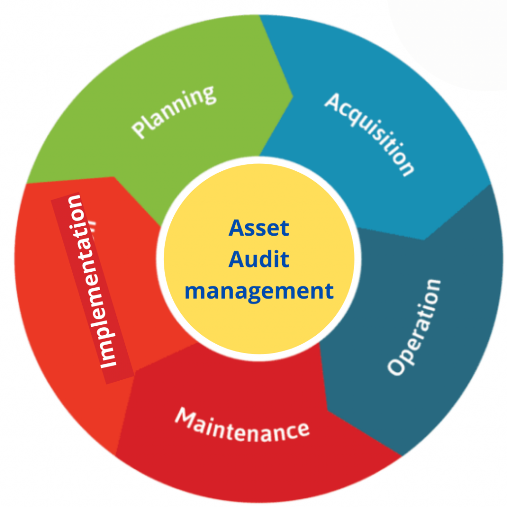 auditing for the organization